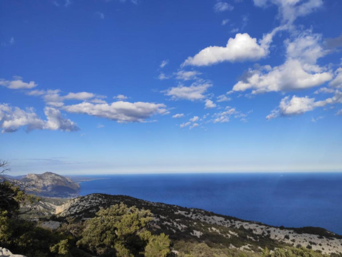 Apartment Conchiglie 2 Cala Gonone Dış mekan fotoğraf